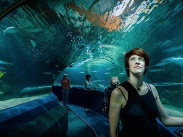 National Aquarium of New Zealand